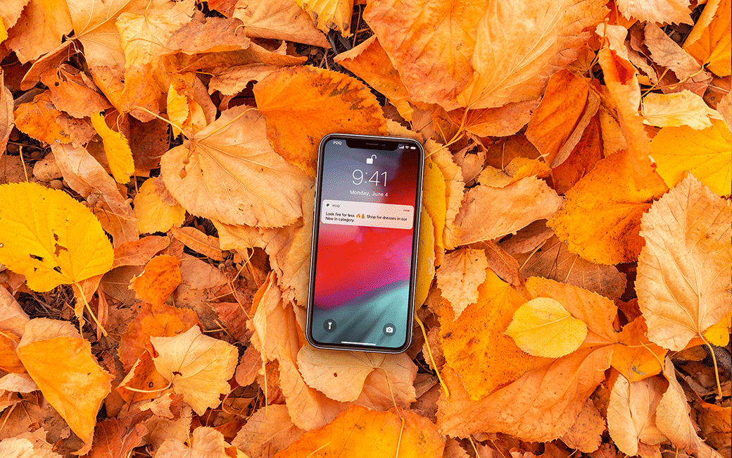 App Commerce news blog header, phone on autumn leaves